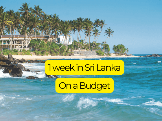 7 Day in Sri Lanka