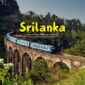 12 Days in Sri Lanka: Culture, Surf, Safari & UNESCO Wonders 🏝️🐘🌊