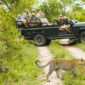 Wildlife Safaris in Sri Lanka