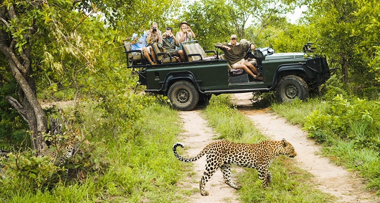 Wildlife Safaris in Sri Lanka